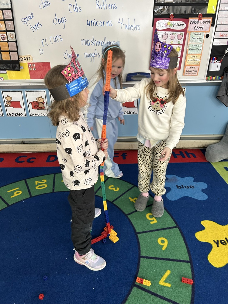 Building with 100 snap cubes