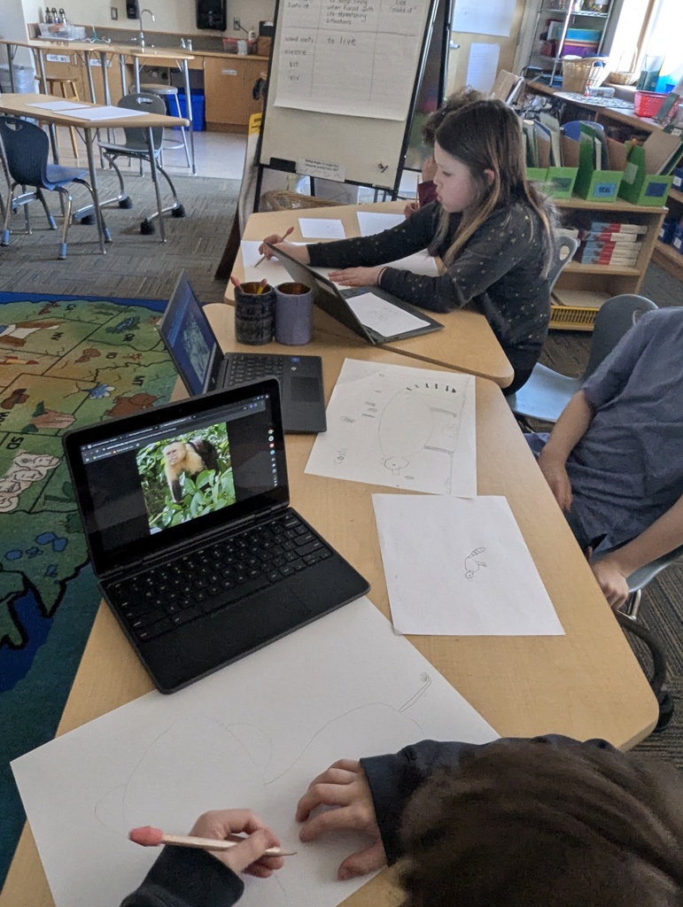 cultural study - forest preserve plants and animals