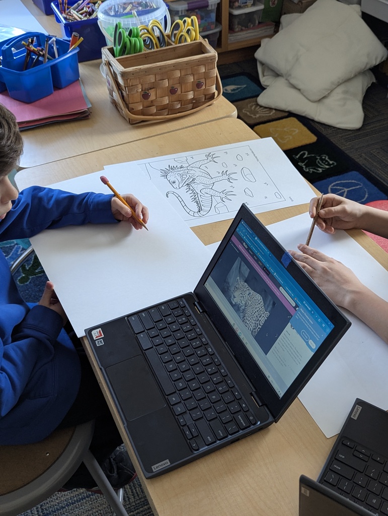 cultural study - plants and animals