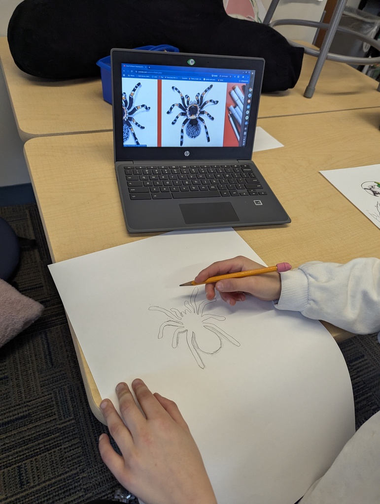 cultural study - more rainforest animals