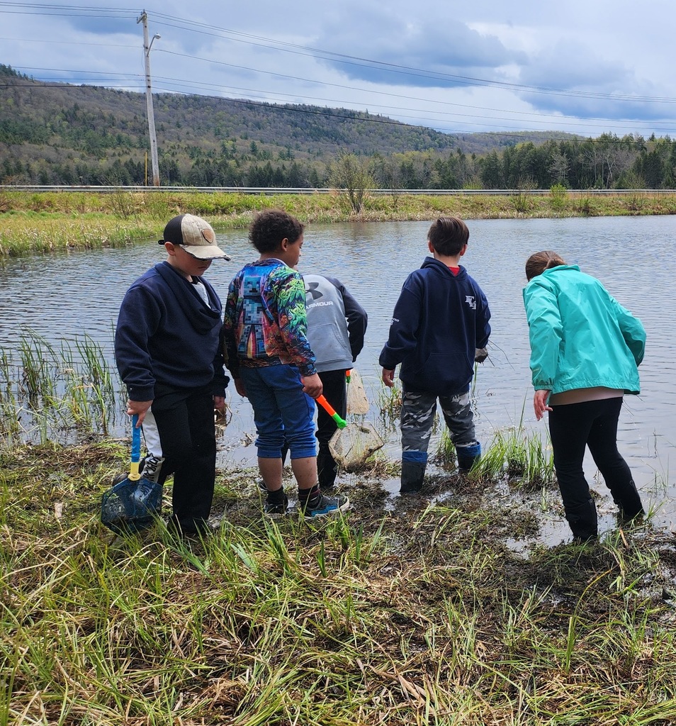 Five 3rd and 4th grade students use nets to explore a pond in the foreground, with a cloudy sky and mountainsides in the distant background.