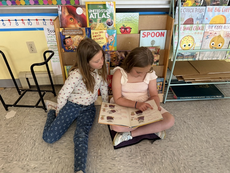 buddy reading