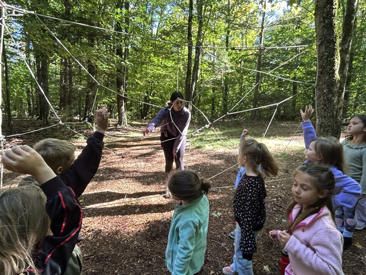 Spiderweb! Don’t get caught!