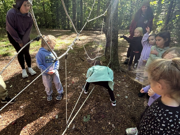 Spiderweb! Don’t get caught!