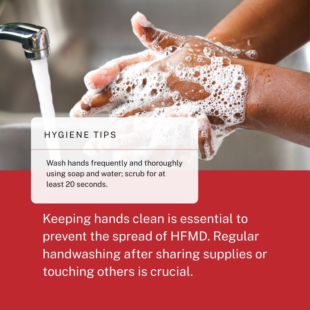 wash hands