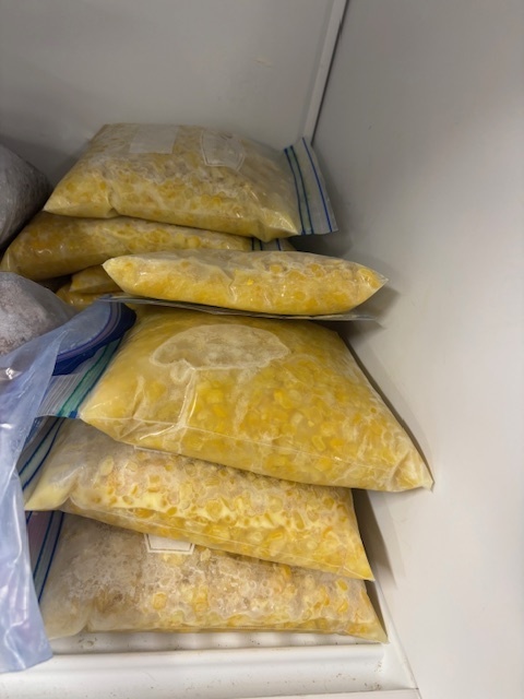 Walhalla FACS class picked corn.