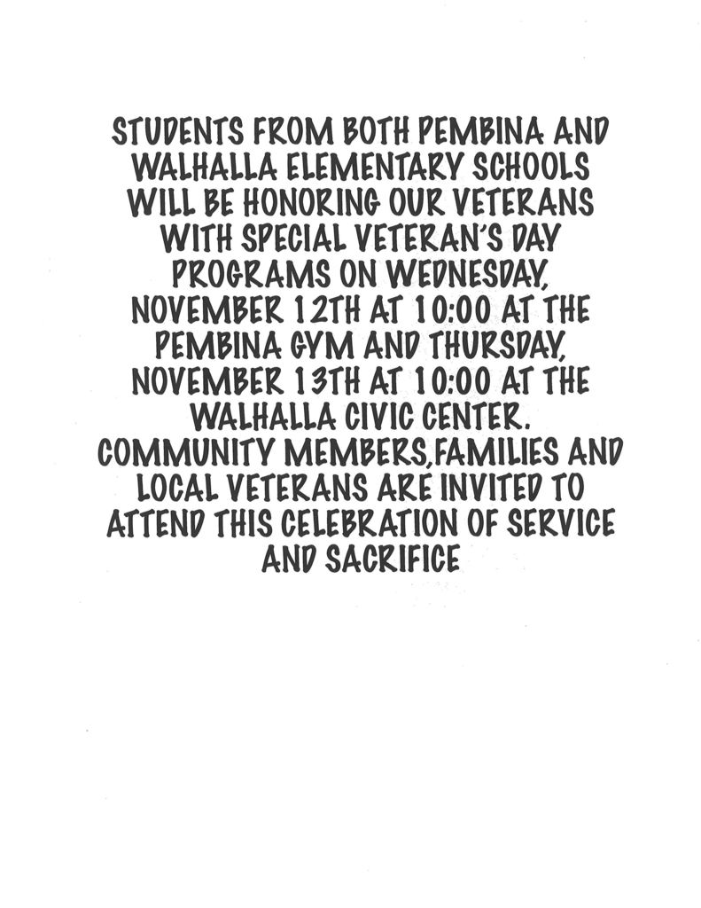 Veteran's Day Program