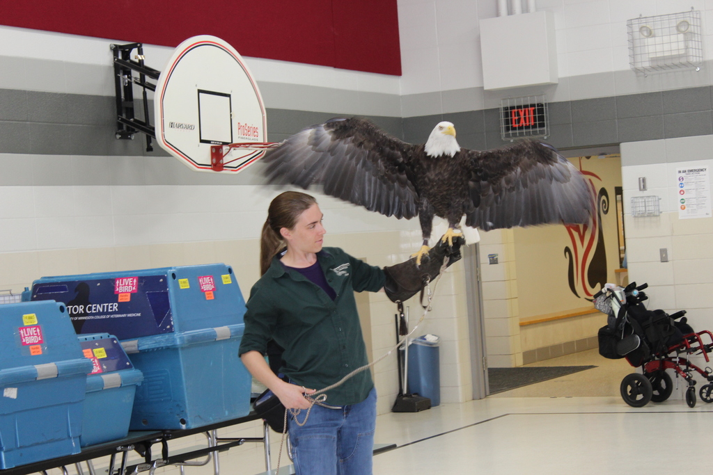 Raptor Center