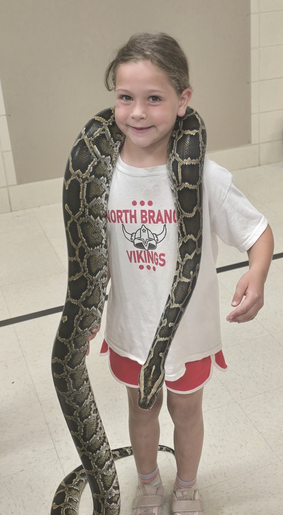 Snake Discovery