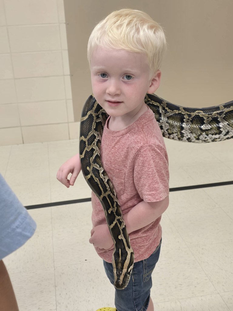 Snake Discovery
