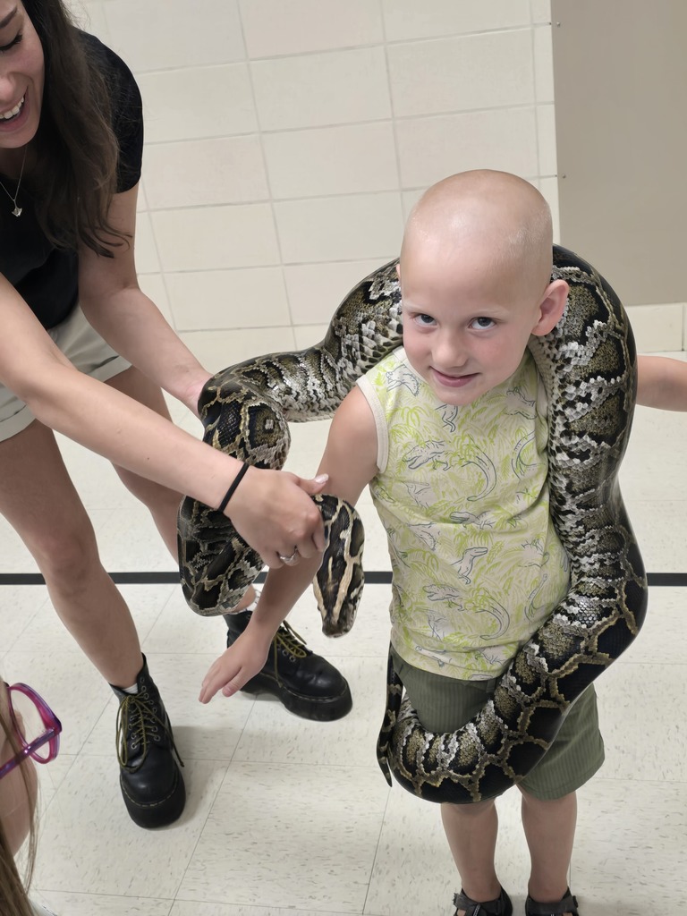 Snake Discovery