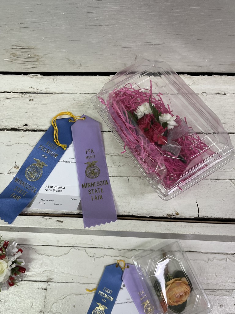 FFA at the fair