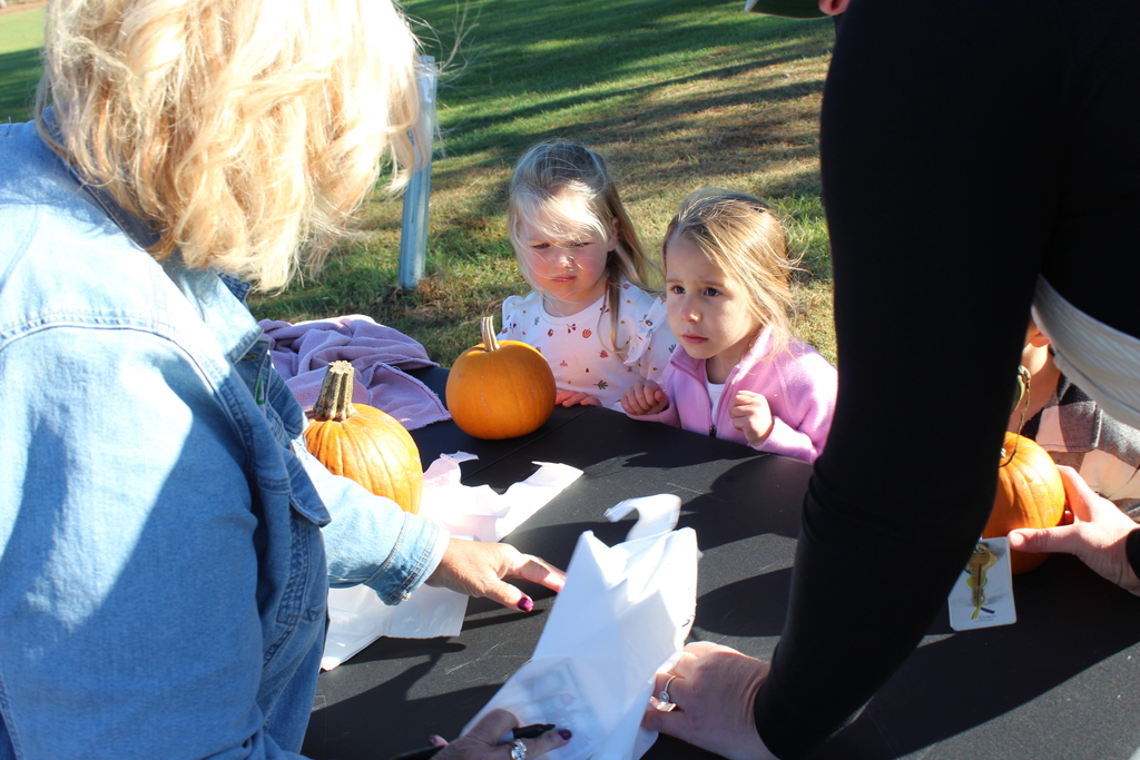 Pumpkin patch