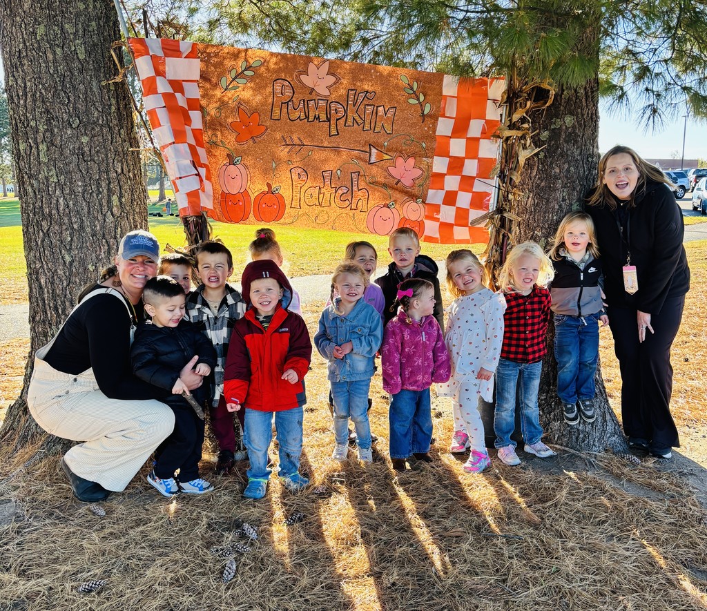Pumpkin patch