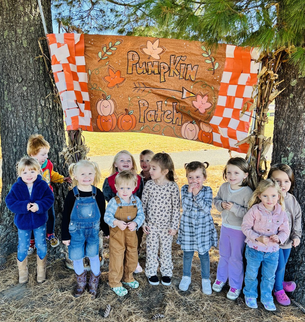 Pumpkin patch