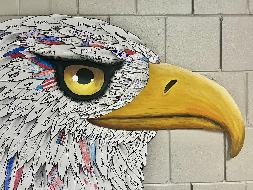 Eagle project