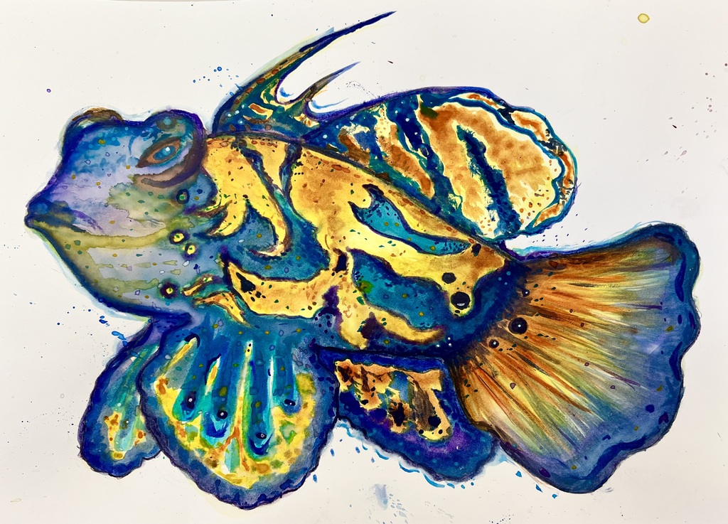 Fish art