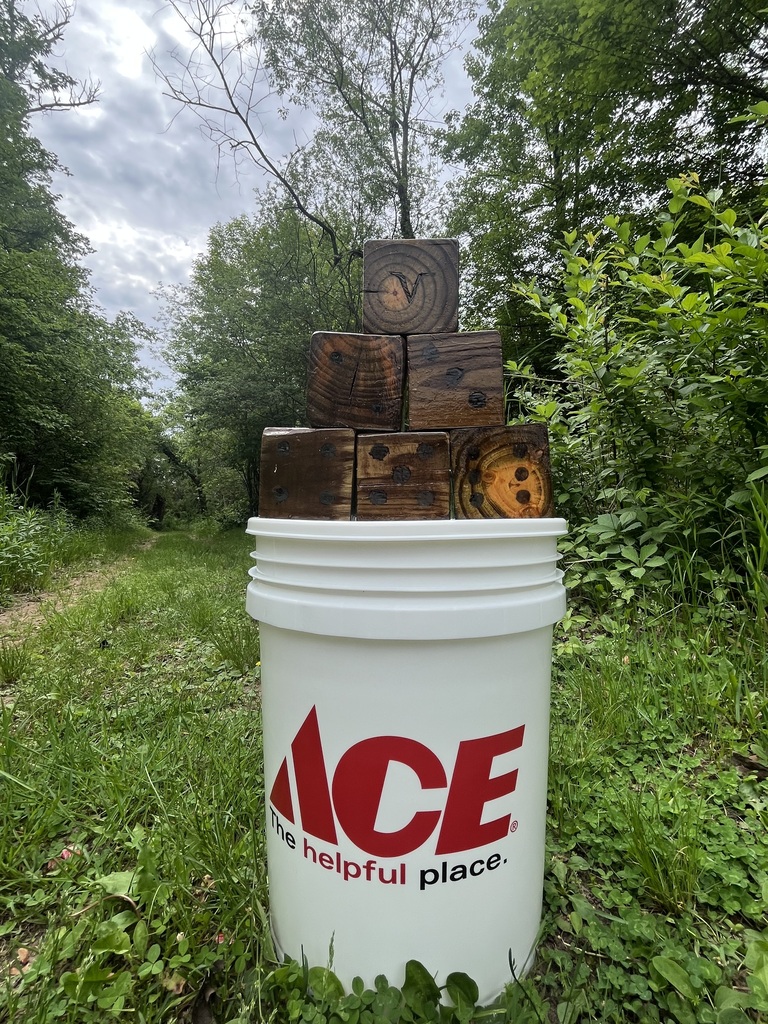 Thanks Ace!