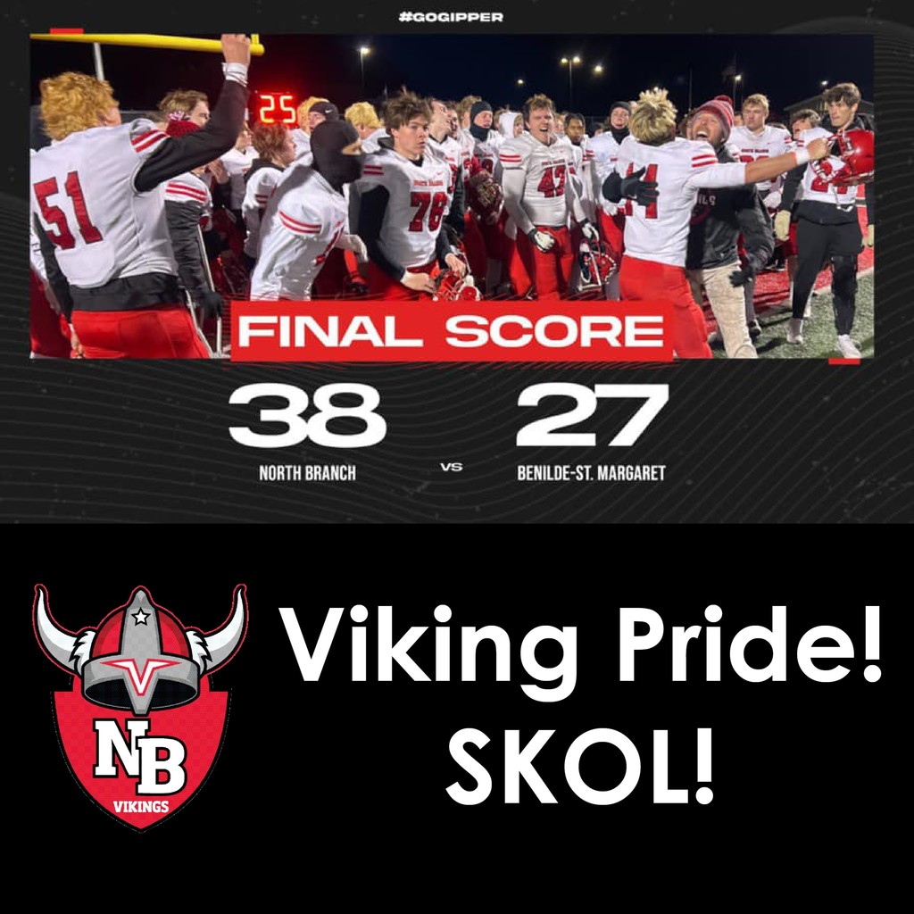 Skol! Vikings Pride!