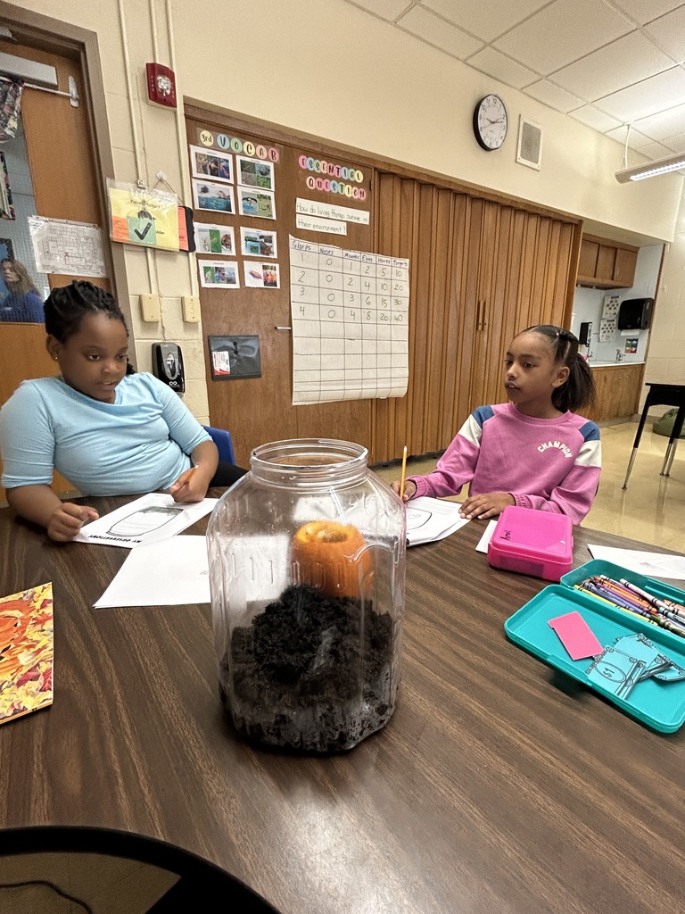 Two students are looking at a pumpkin and writing.