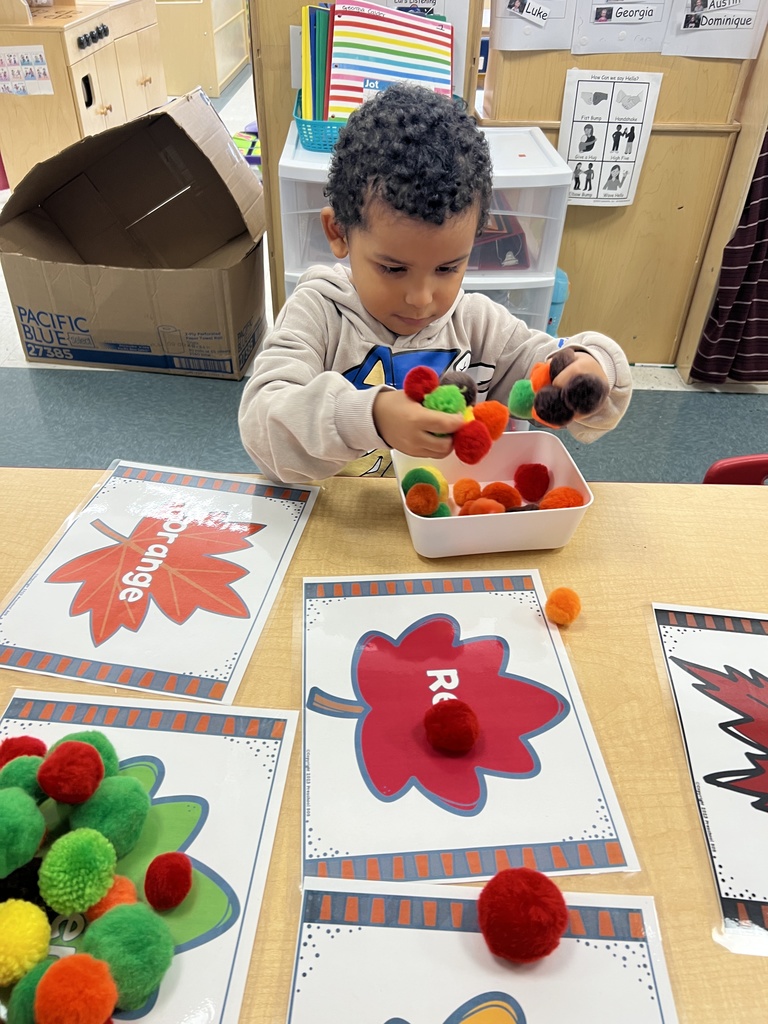 Judd Pre-K worked as a team to find the color matches for their pompoms, then predicted which color had the most
