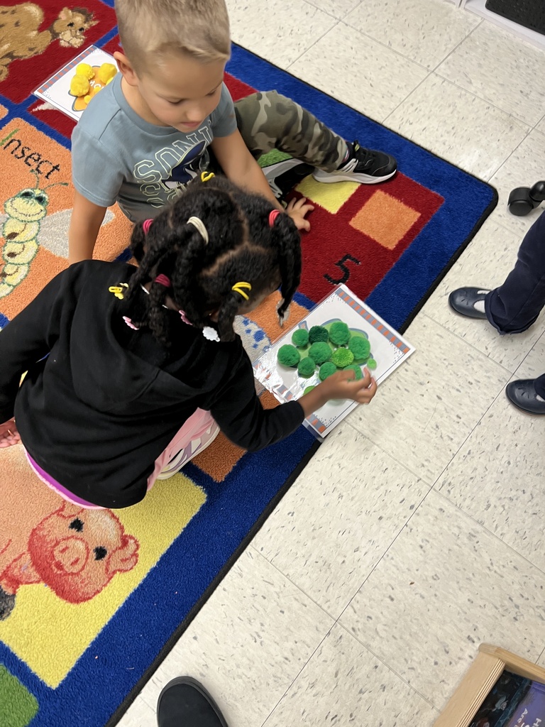 Judd Pre-K worked as a team to find the color matches for their pompoms, then predicted which color had the most