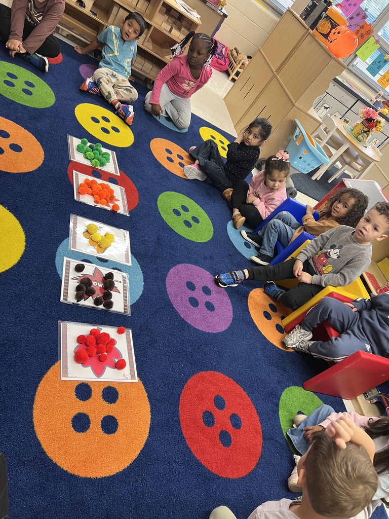 Judd Pre-K worked as a team to find the color matches for their pompoms, then predicted which color had the most