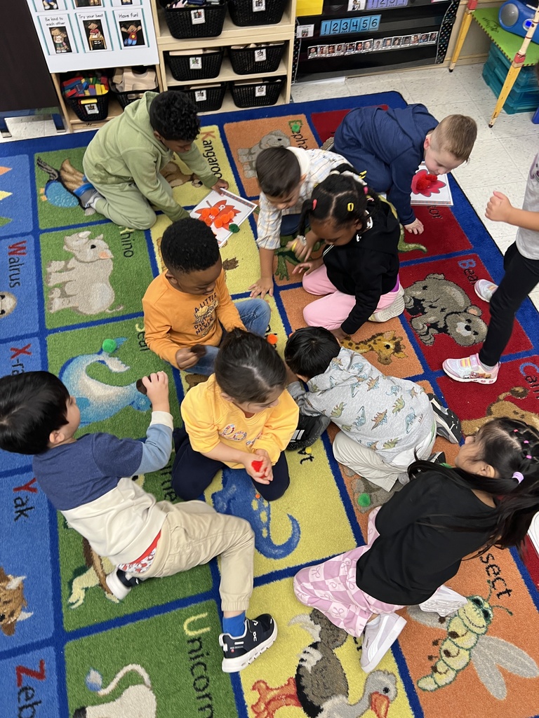 Judd Pre-K worked as a team to find the color matches for their pompoms, then predicted which color had the most