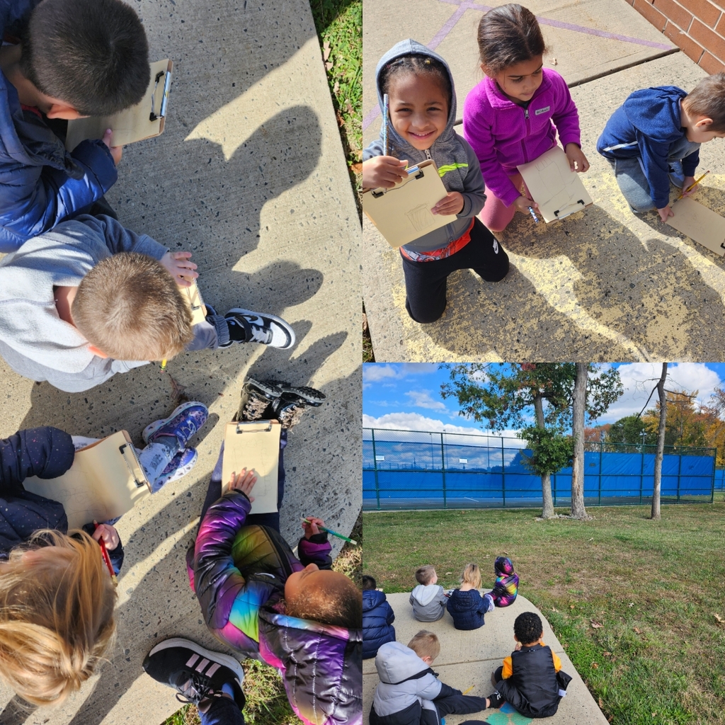 Children looked for Trees around Judd and then wrote about what they saw. 