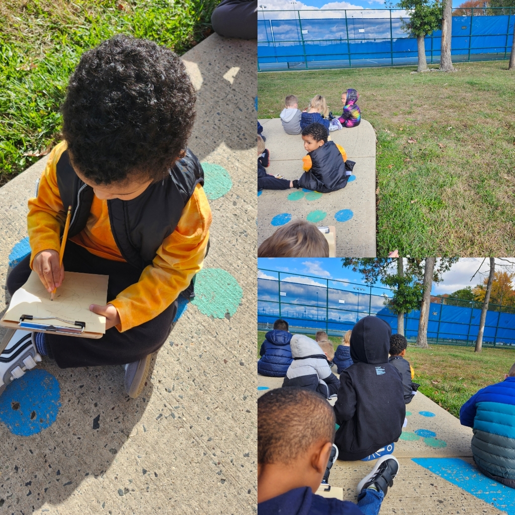 Children looked for Trees around Judd and then wrote about what they saw. 