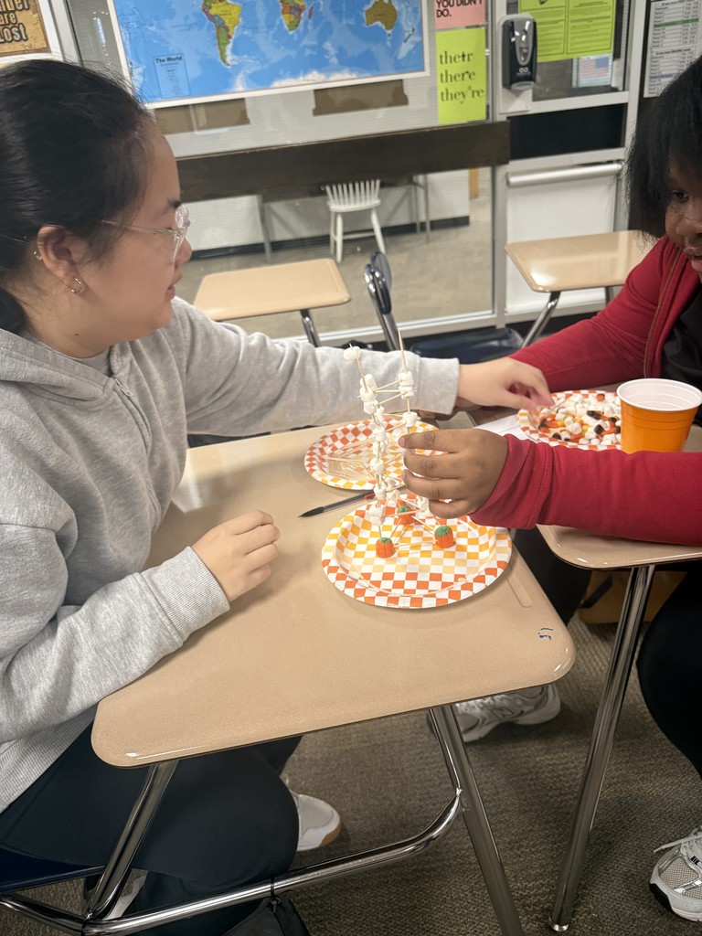 students making  a tower of marshmallows and toothpicks