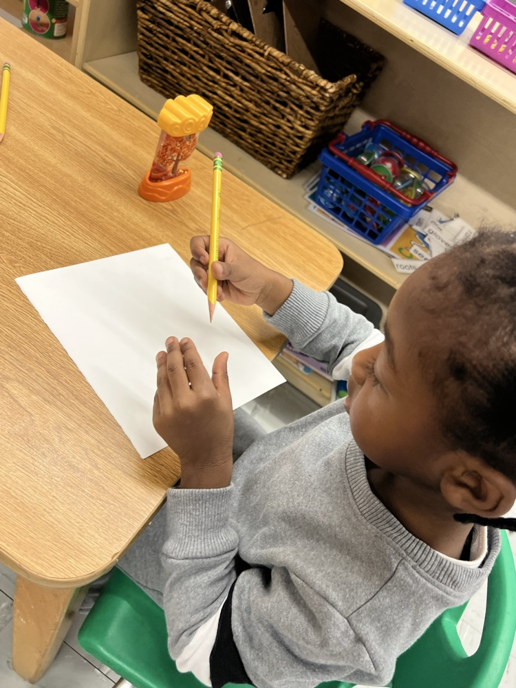 Miss Williams’ students at JA observe, draw and color trees from different seasons during our tree study. 