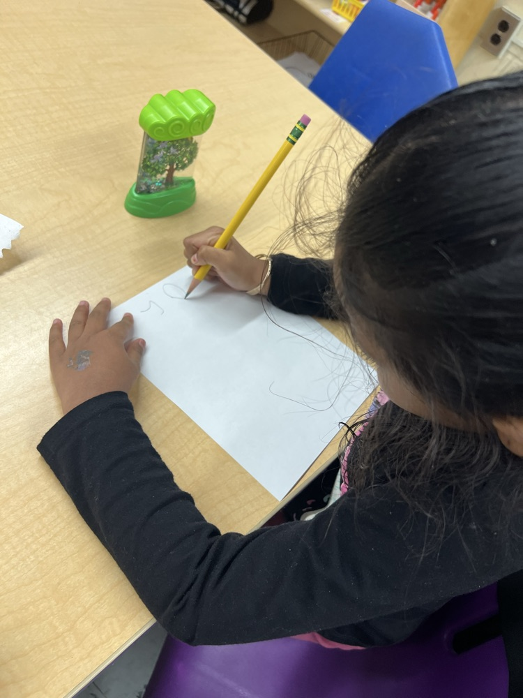 Miss Williams’ students at JA observe, draw and color trees from different seasons during our tree study. 