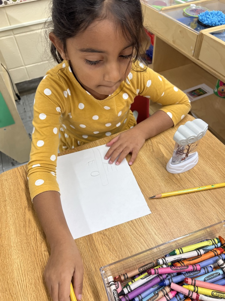 Miss Williams’ students at JA observe, draw and color trees from different seasons during our tree study. 