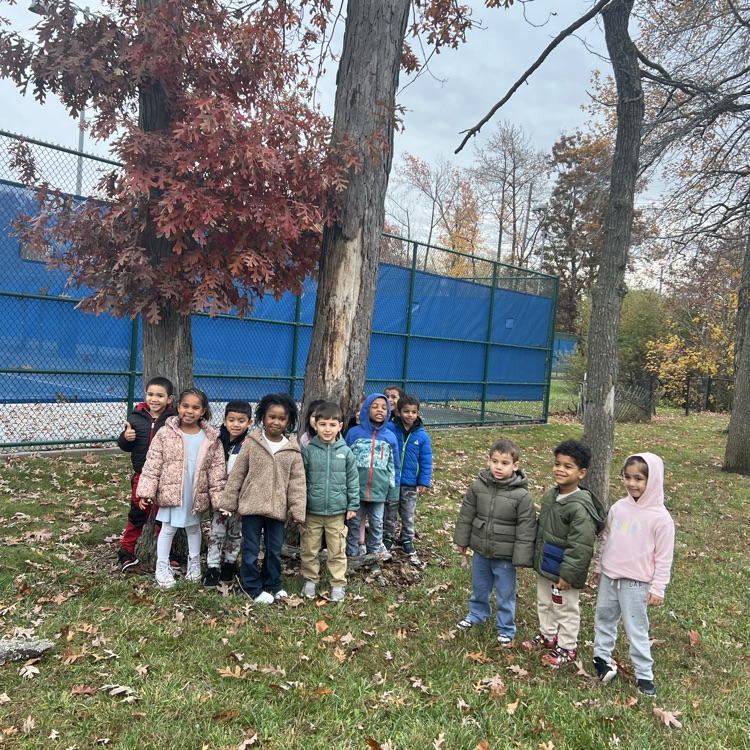 Class Picture with Skipper