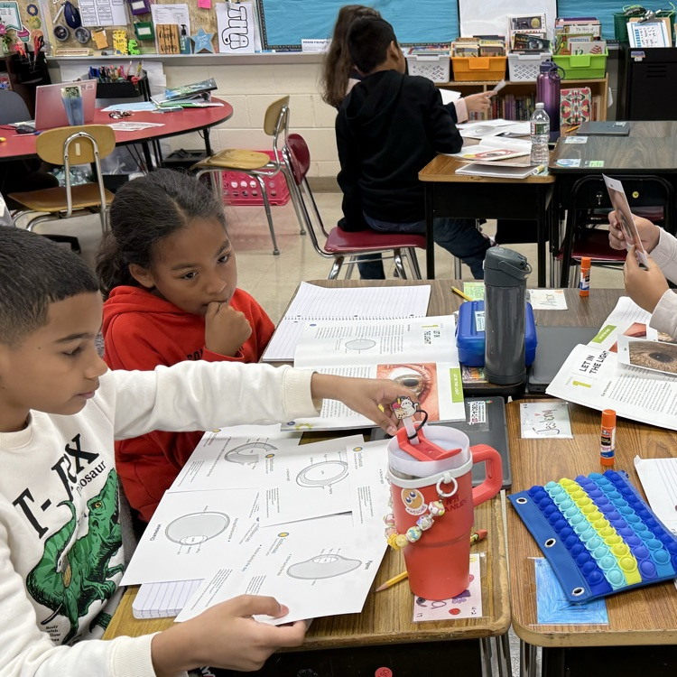 Students looking at cards with eye structures 