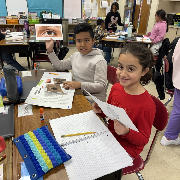 Students looking at cards with eye structures 