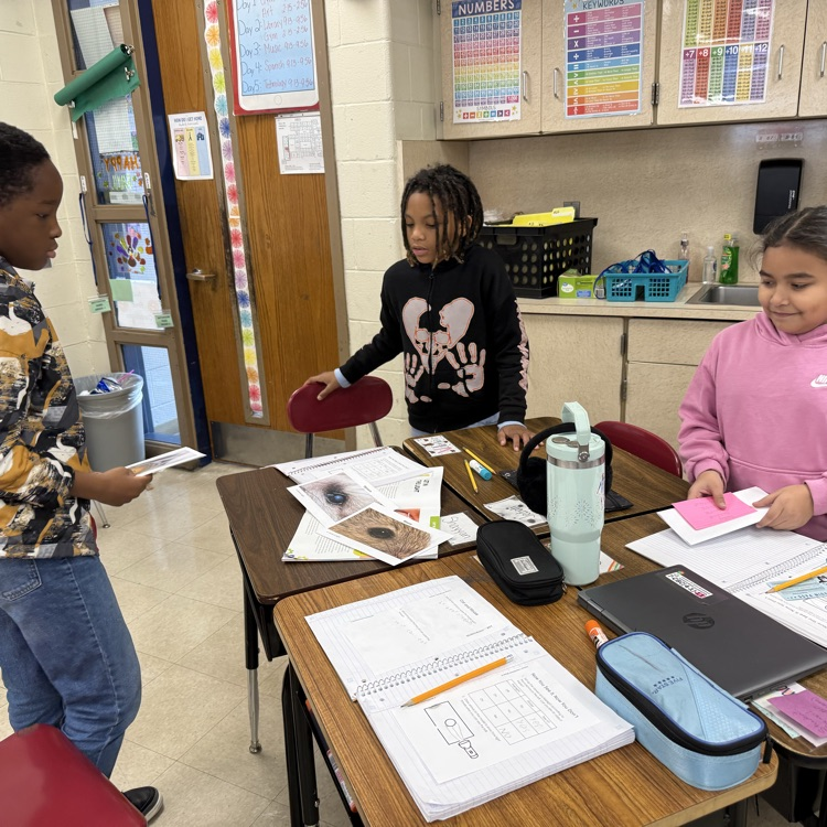 Students looking at cards with eye structures 