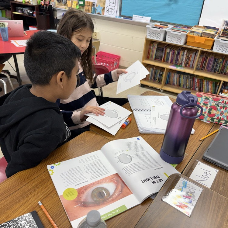 Students looking at cards with eye structures 