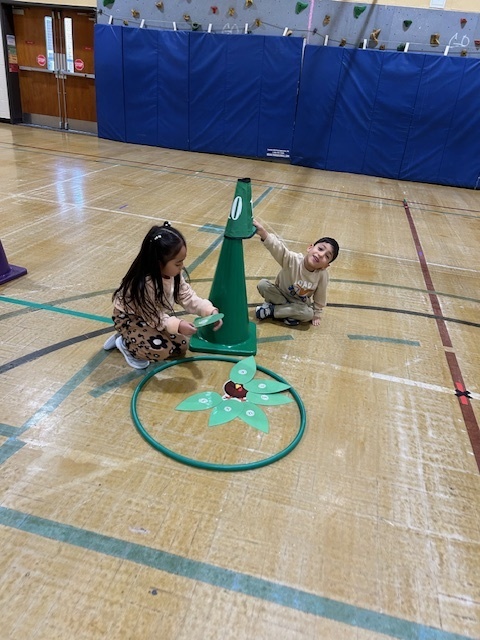 The green team sorted all the green feathers.