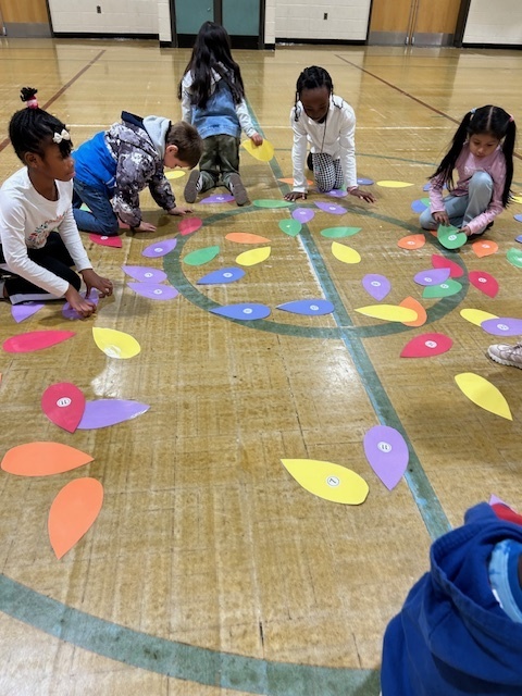 So many feathers to choose from!