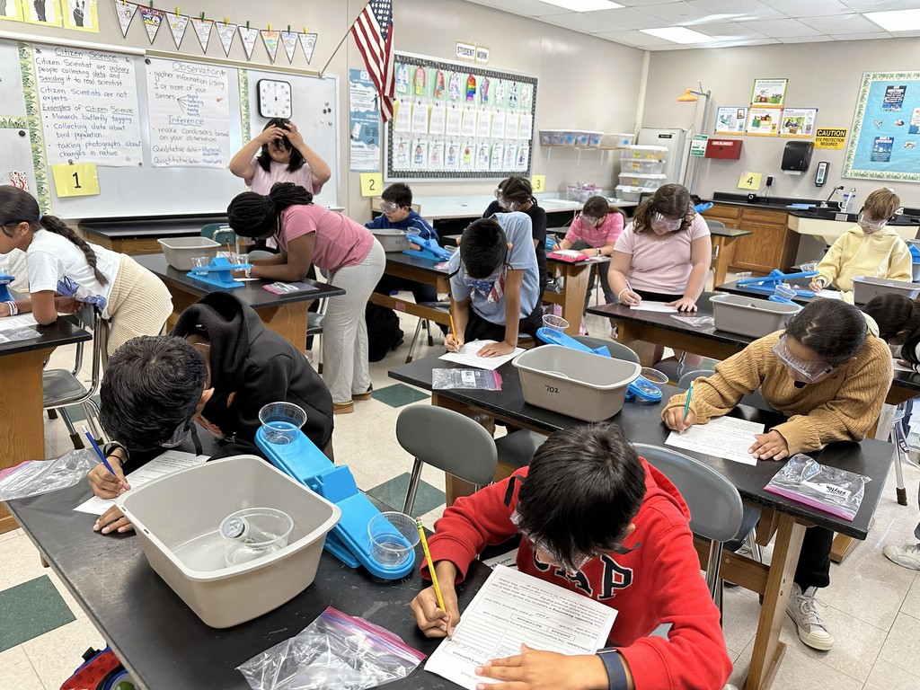 Grade 5 students working on Comparing Mass lab assignment 