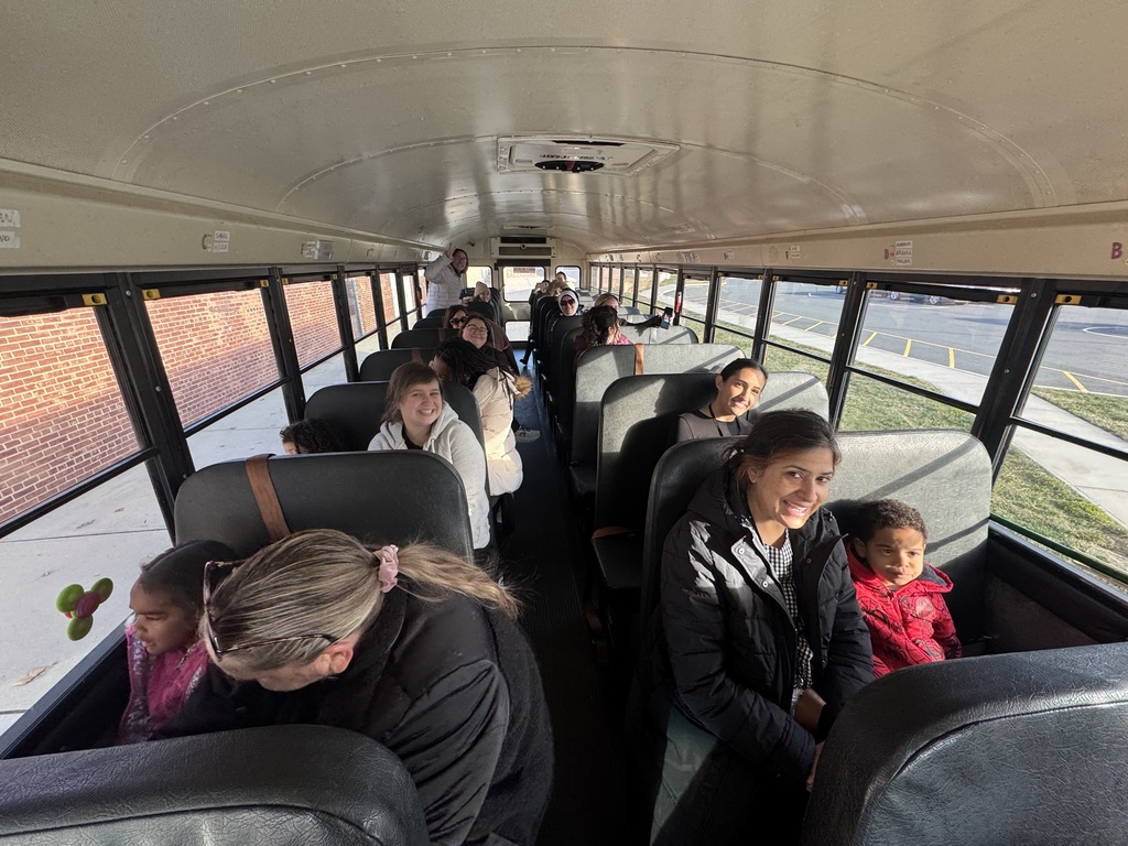 Field trip to Bubble Island