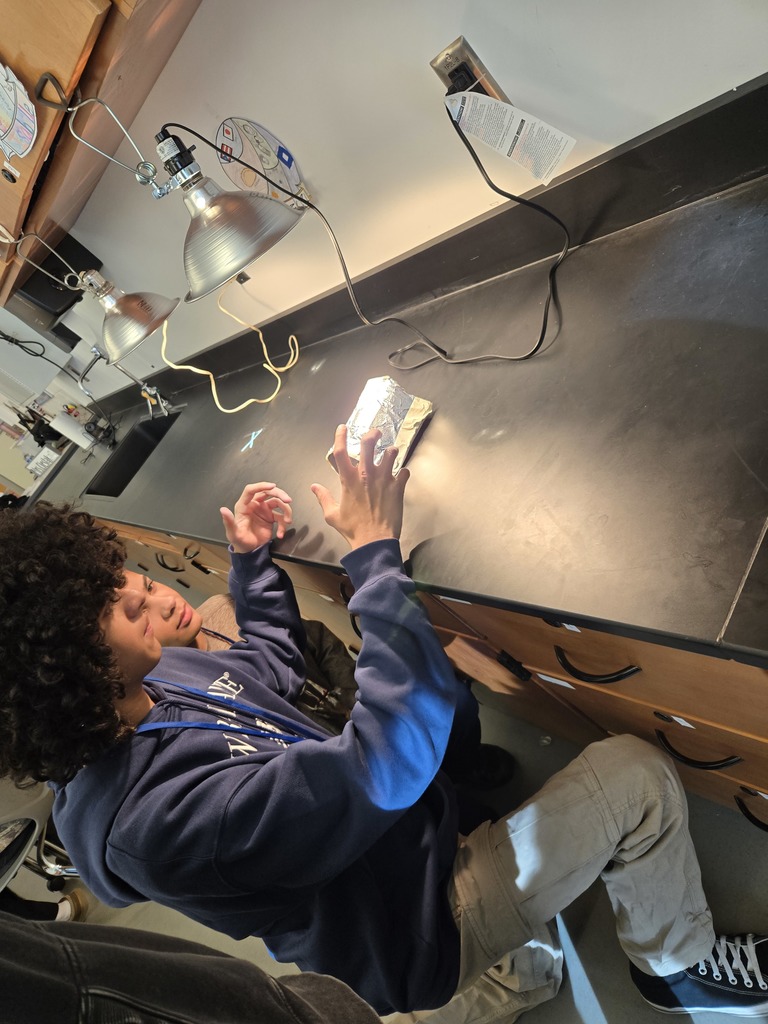 Penguin nest testing