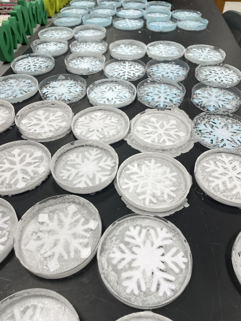 Snowflake Salt Crystals 