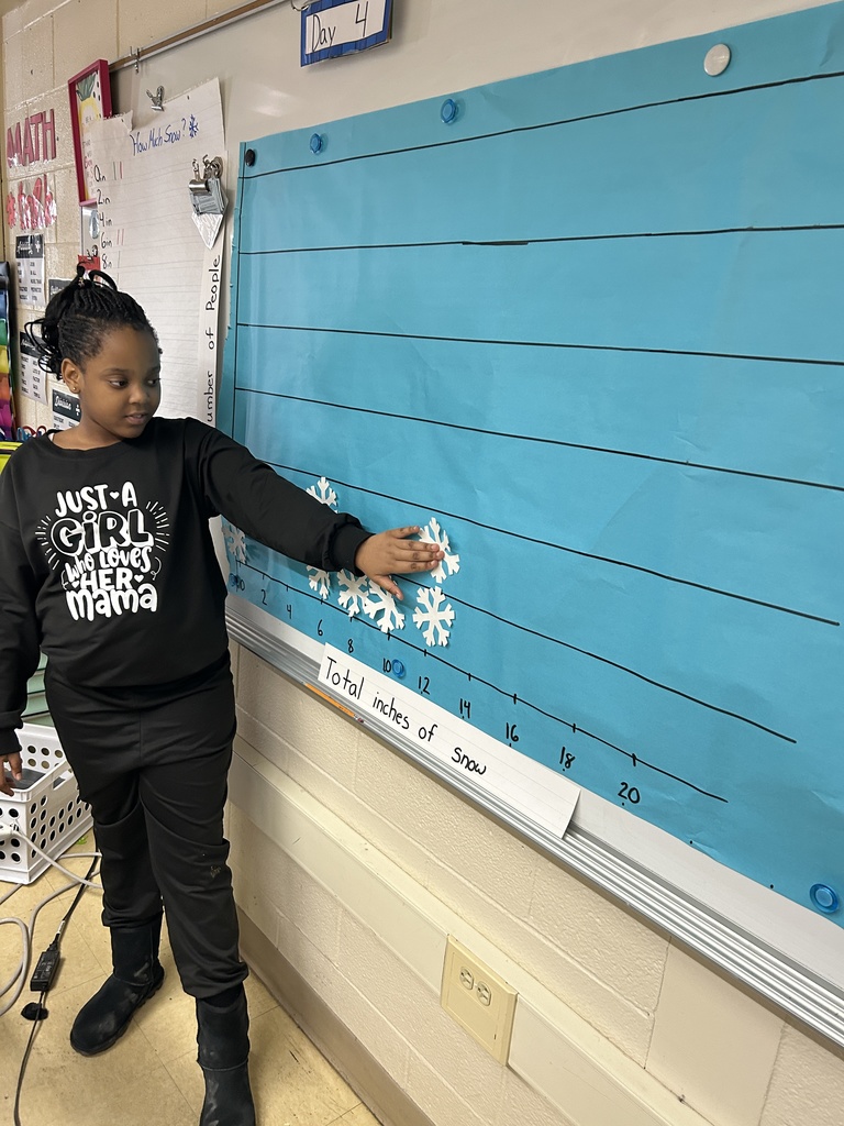 A student places a snowflake on a graph