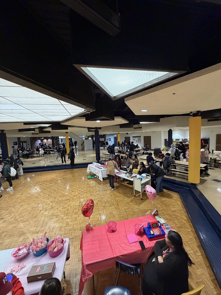 Suzan Ezdinli Valentines Market in the Commons