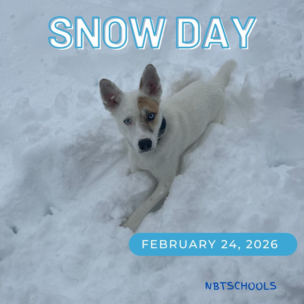 Snow Day - Dog in snow - February 24, 2026 NBTSCHOOLS