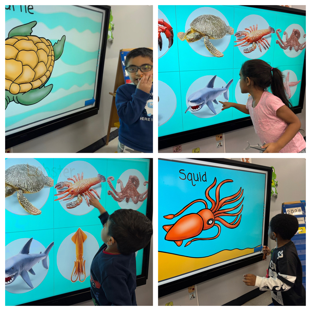 Students touching images of sea life