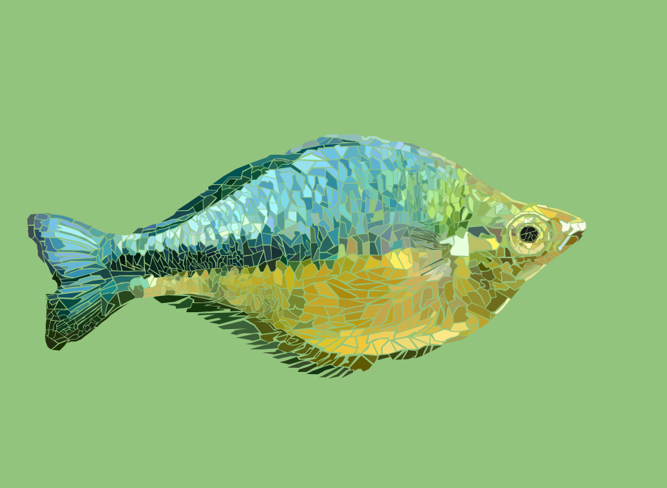 virtual fish